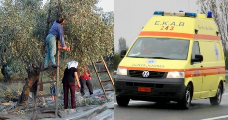 Σοκ: Νεκρός 48χρονος την ώρα που ράβδιζε ελιές στο χωράφι – Ειχε τον πιο τραγικό θάνατο από ηλεκτροπληξία με το ελαιοραβδιστικό