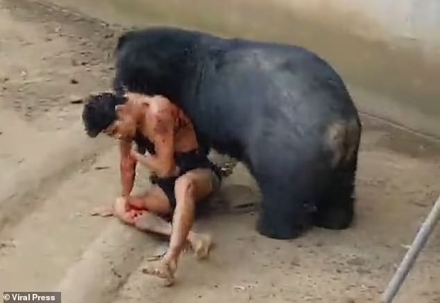 92336957 14110701 naiphum was pulled down into the enclosure and m 34 1732206407430