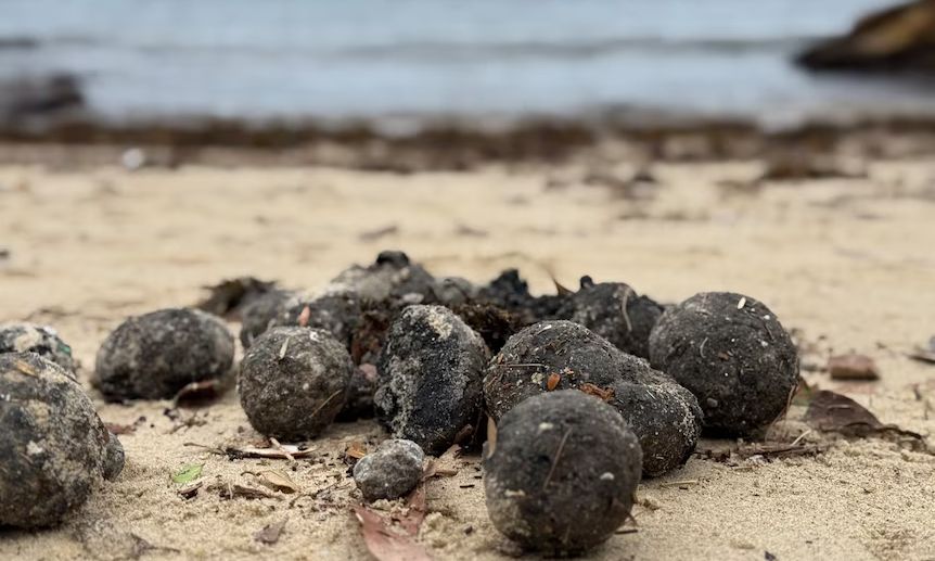 australia 1600065 e52dfb4f balls