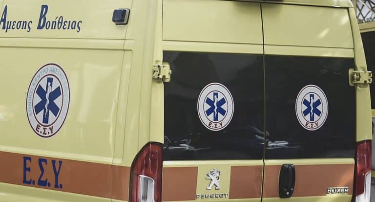 Τραγωδία: Νεκρή μία γυναίκα – Έπεσε και χτύπησε όταν της έκανε «χαρές» ο σκύλος της