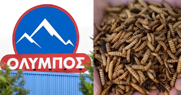 Η οικογένεια Σαράντη της Όλυμπος επενδύει στα έντομα – Η νέα αγορά μαμούθ ύψους 1,5 δισεκατομμυρίων ευρώ