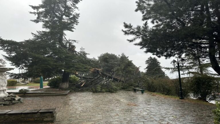 Κακοκαιρία Bora: Μήνυμα του 112 σε Πιερία, Λάρισα και Μαγνησία – «Περιορίστε τις μετακινήσεις σας»