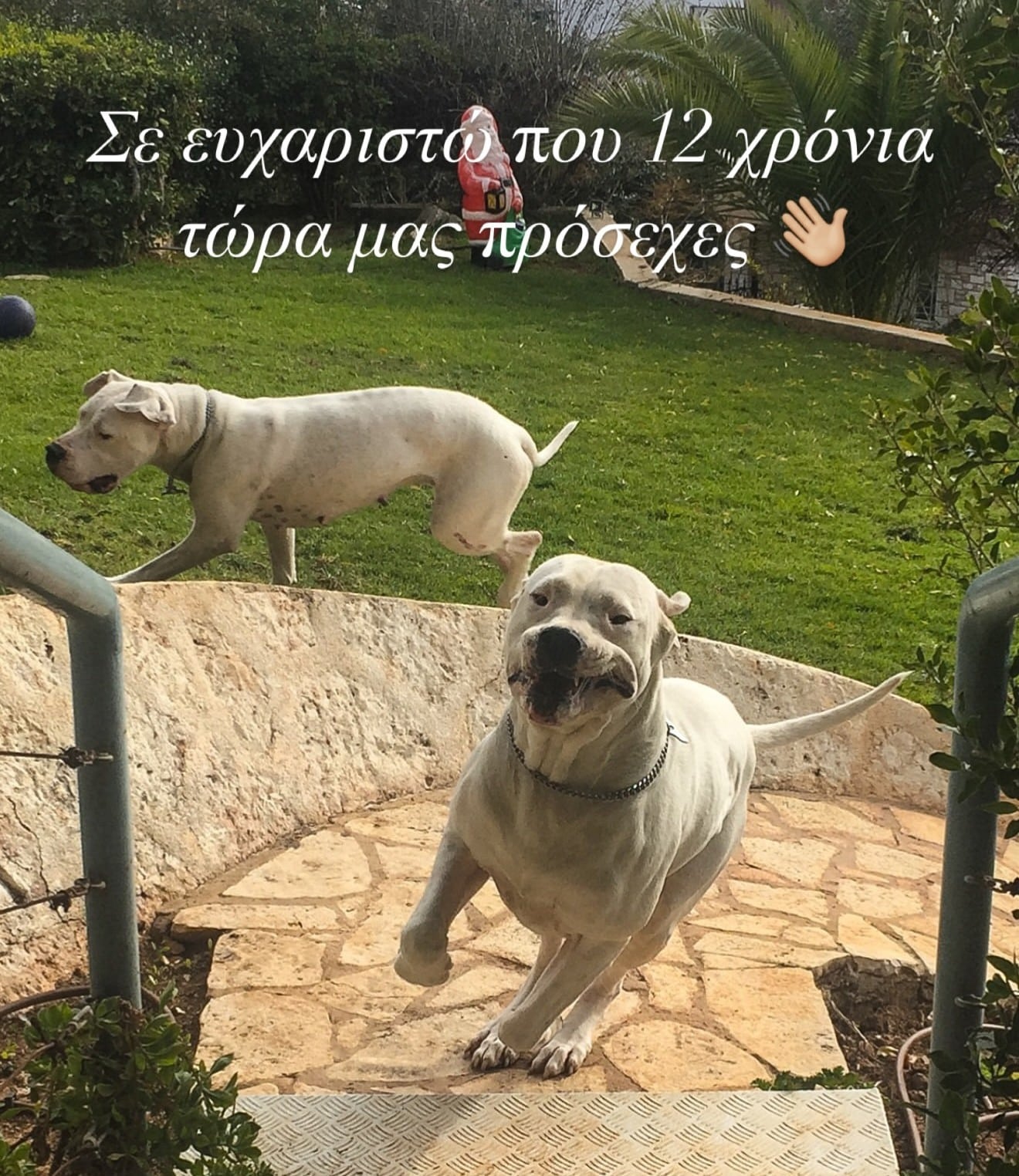 papakostas pablo skilos