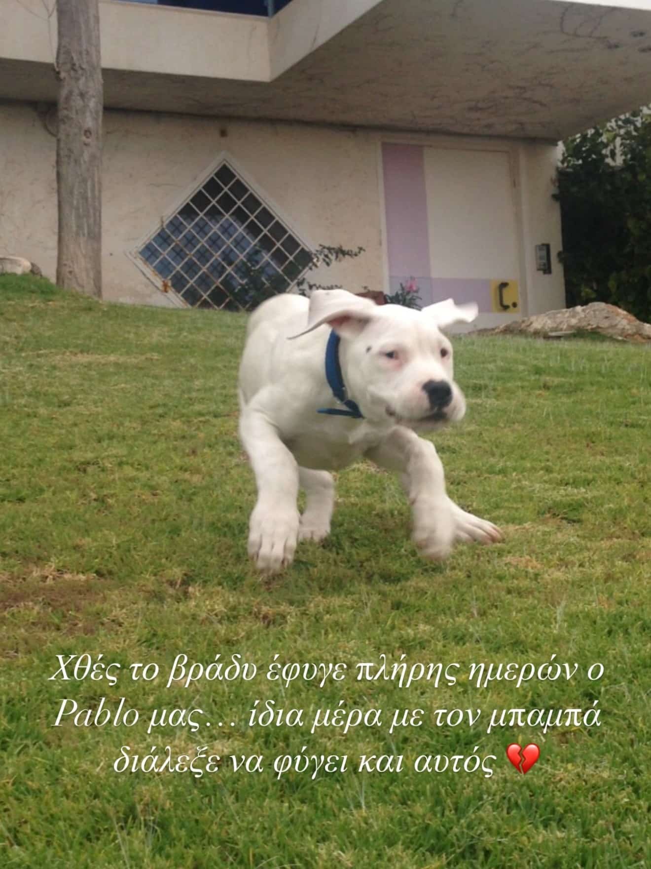papakostas skilos pablo