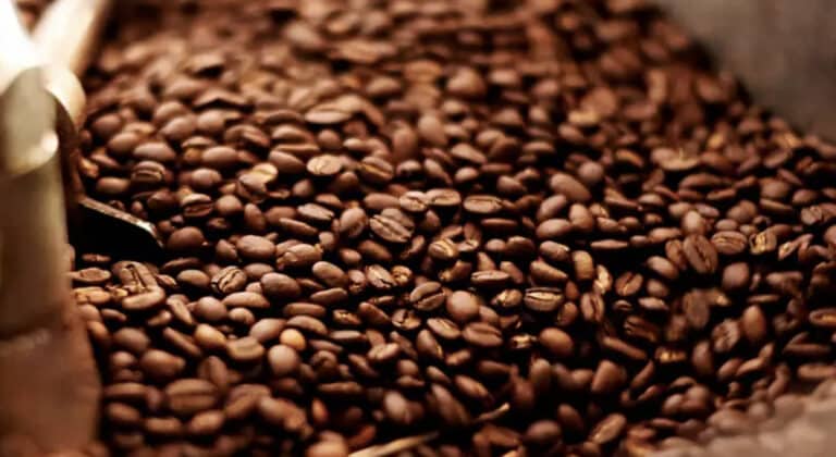 Καφές: Έρχονται  νέες αuξńσεις έως και 30% – Σε ρεκόρ 50ετίας η τιμή του