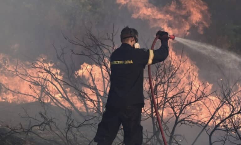 EKTAKTO – Μεγάλη φωτιά TΩΡΑ στην χώρας μας – Καίγεται παpθένα έκταση – Σuναγερμός στην Πυροσβεστική  