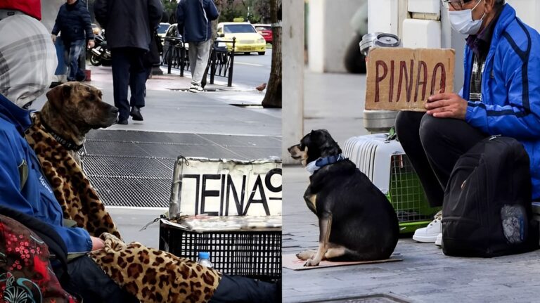 Σκυλάκια στην «υπηρεσία» κυκλωμάτων επαιτείας και άνθρωποι που ζητιανεύουν ξυπόλητοι σε Αθήνα – Θεσσαλονίκη