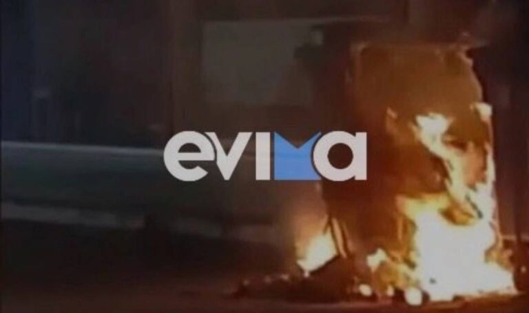 Απόλυτη φρίκη: Έκαψαν 4 κουτάβια μέσα σε κάδους απορριμμάτων