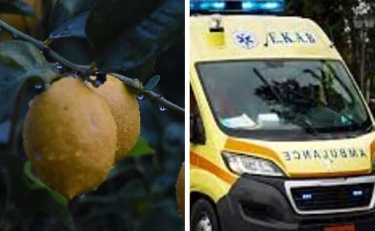 Ίλιον: Δεν το χωράει ο ανθρώπινους νους! Άνδρας για δύο λεμόνια χαροπαλεύει στη ΜΕΘ, γιατί