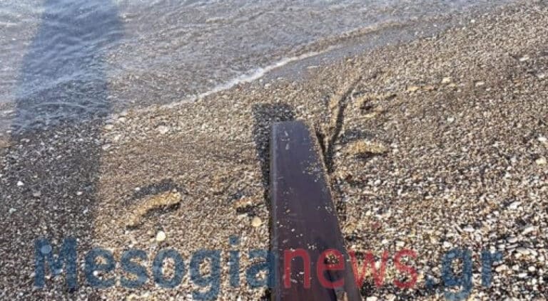 Απίστευτο: Καπάκι από… φέρετρο ξεβράστηκε σε ελληνική παραλία
