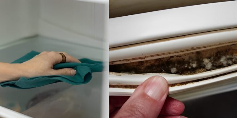 Μούχλα στο λάστιχο ψυγείου: Το κόλπο με την μαγειρική σόδα και 3 ακόμα υλικά για να την καθαρίσετε δραστικά στο λεπτό