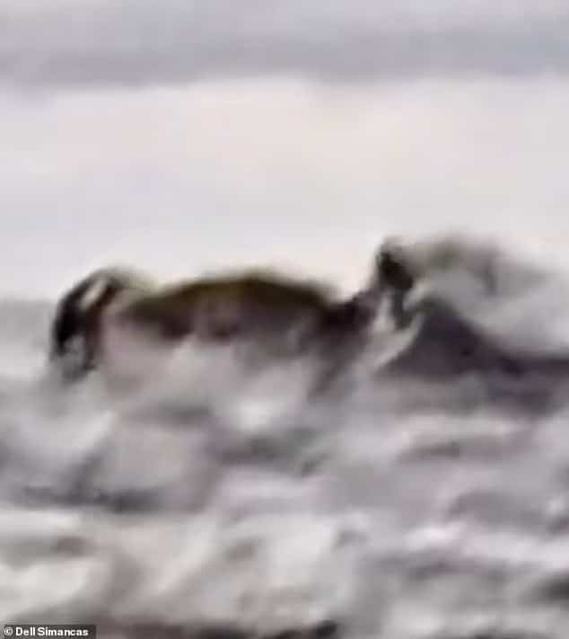 95162727 14392709 in astonishing scenes the kayak disappears from the surface of t a 29 1739434504944