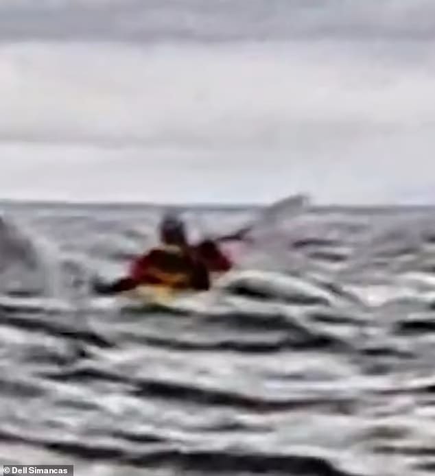 95162731 14392709 adrian was filmed floating on the open water moments before the a 27 1739434499075