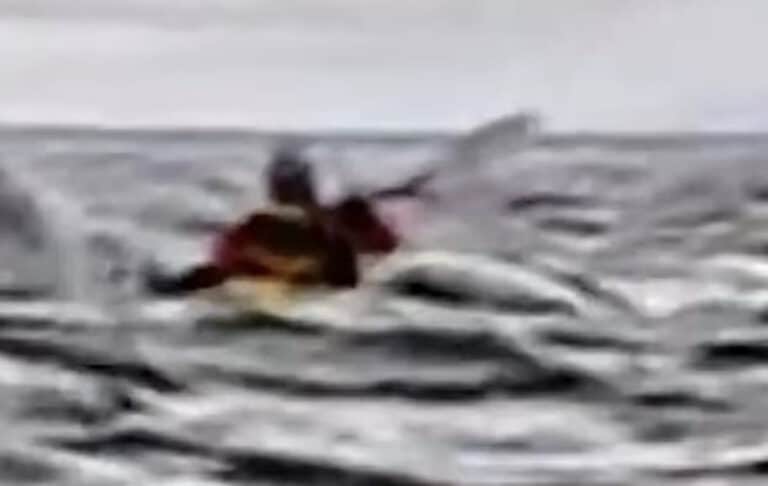 Βίντεο σοκ από την στιγμή που φάλαινα καταπίνει νεαρό που έκανε καγιάκ