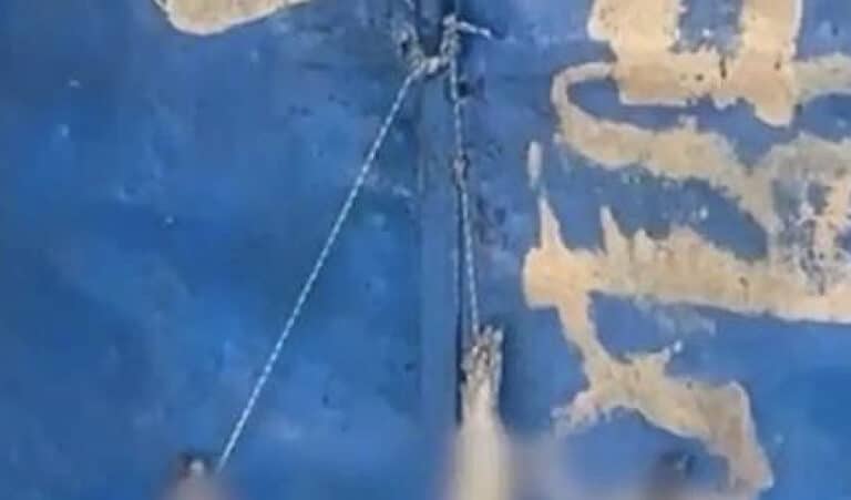 Φpίκη σε δημοτικό σχολείο: Κρέμασαν νεκρό σκυλί στην κεντρική πόρτα – Σε σοκ μαθητές και δάσκαλοι