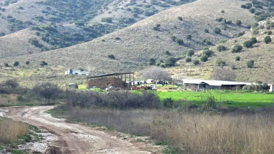 turnavos 1