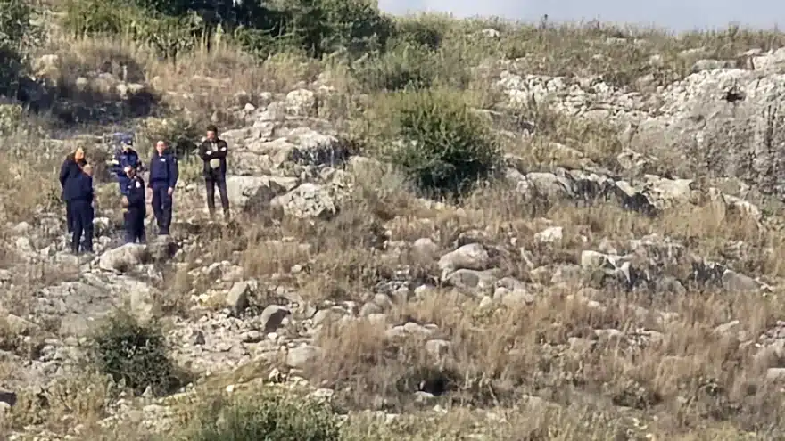 turnavos 3