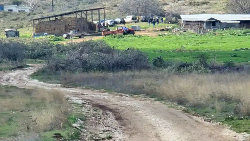 turnavos 6