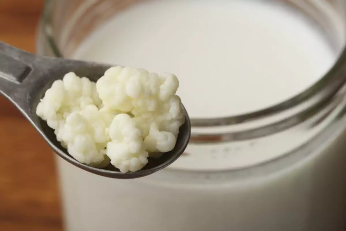 07022kefir 1200x800 1