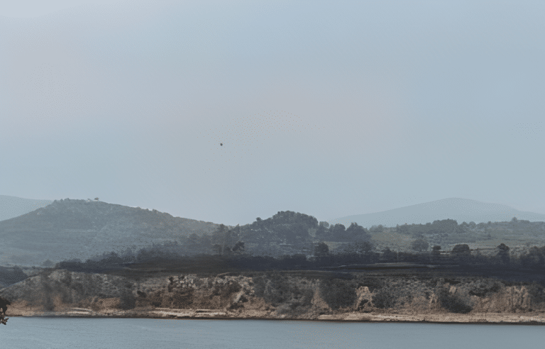 Βραχονησίδα εμφανίστηκε στη λίμνη Μαραθώνα