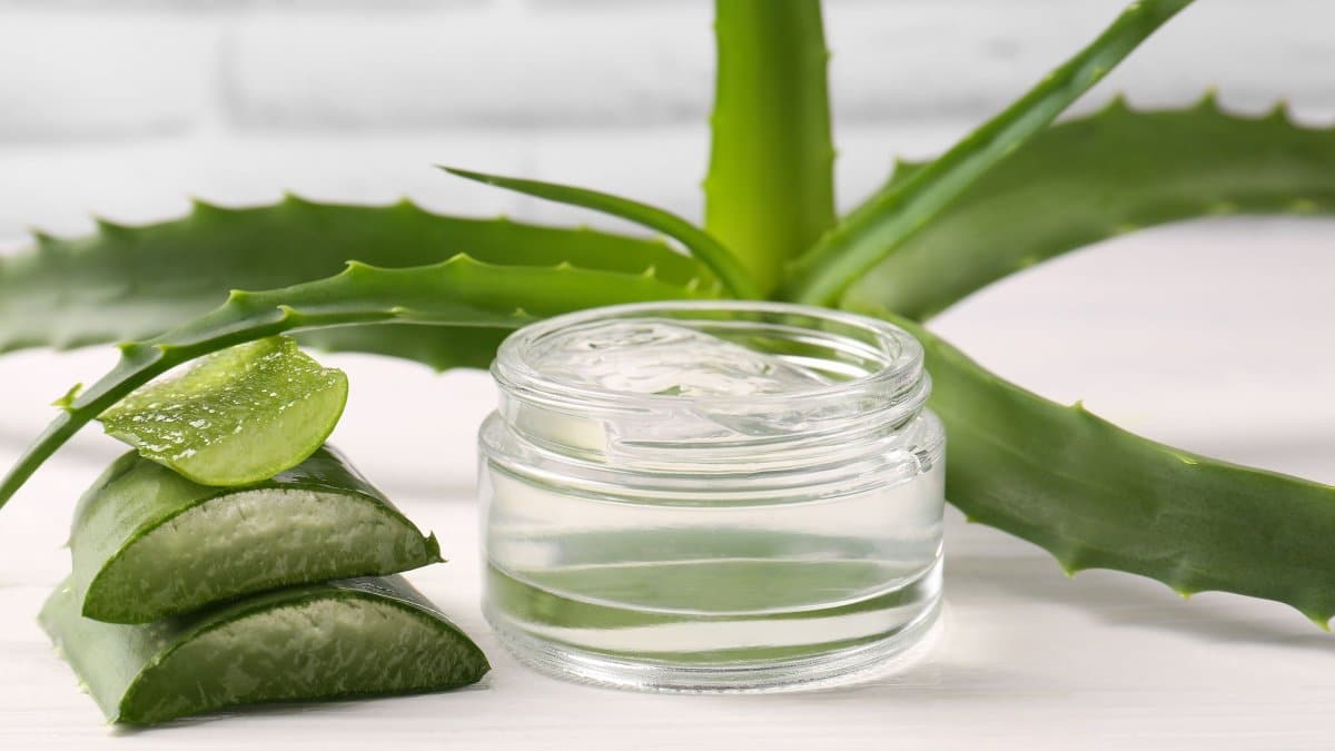 1f212320 bigstock jar of cosmetic gel and cut al 478287365
