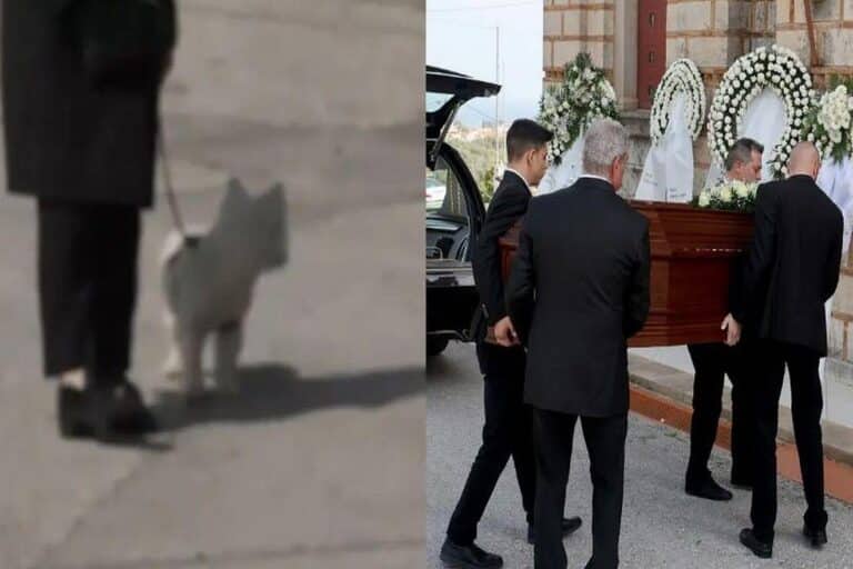 Κηδεία Καίτης Κωνσταντίνου: Ο σκύλος της θα την συνοδεύσει στην τελευταία της κατοικία