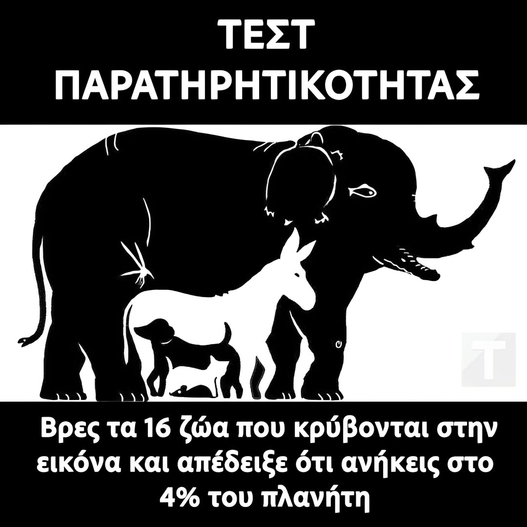 487308771 1054693236703984 4856877345715527330 n