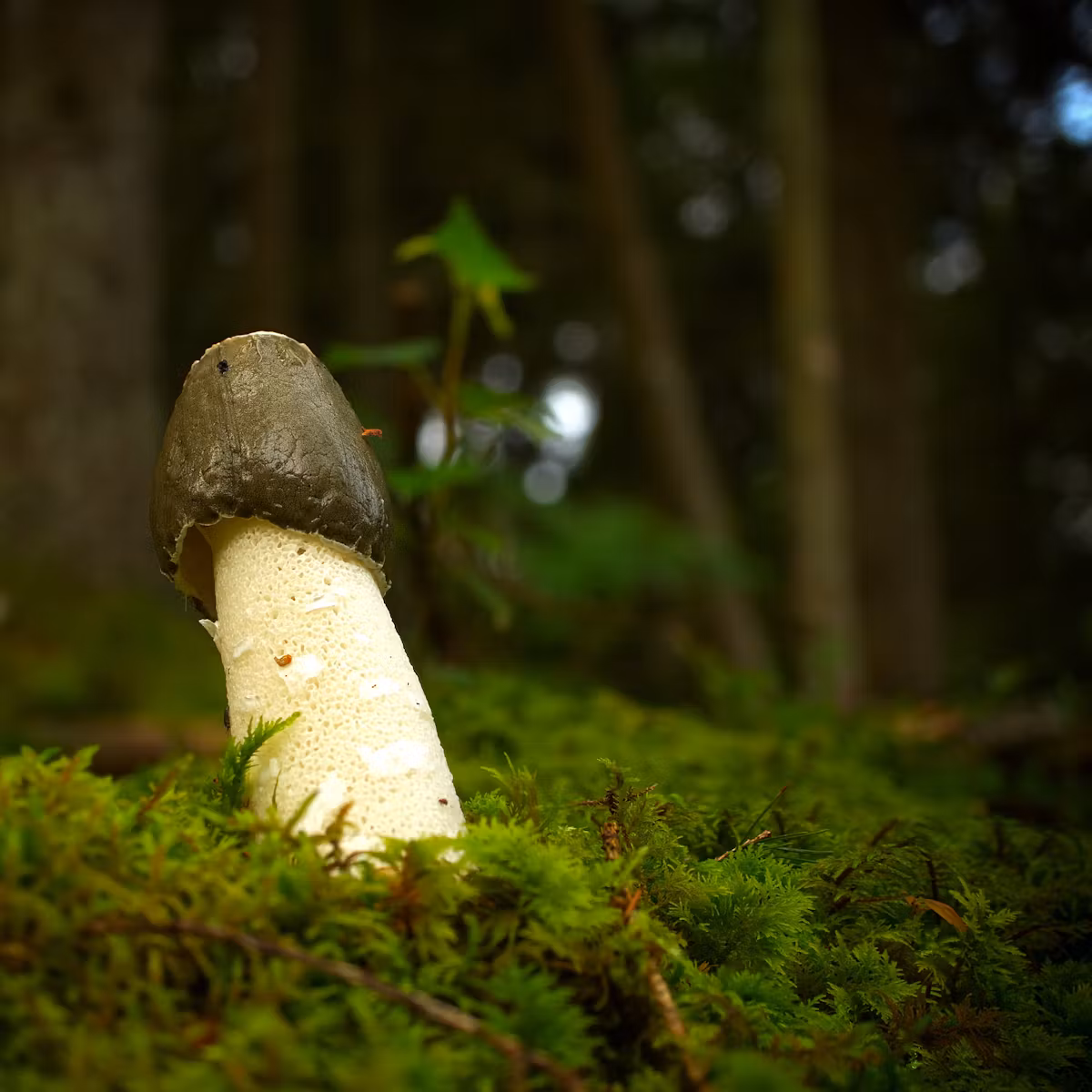 90261652 a475 45f5 8ae6 f296befa59a0 shutterstock 2248296639