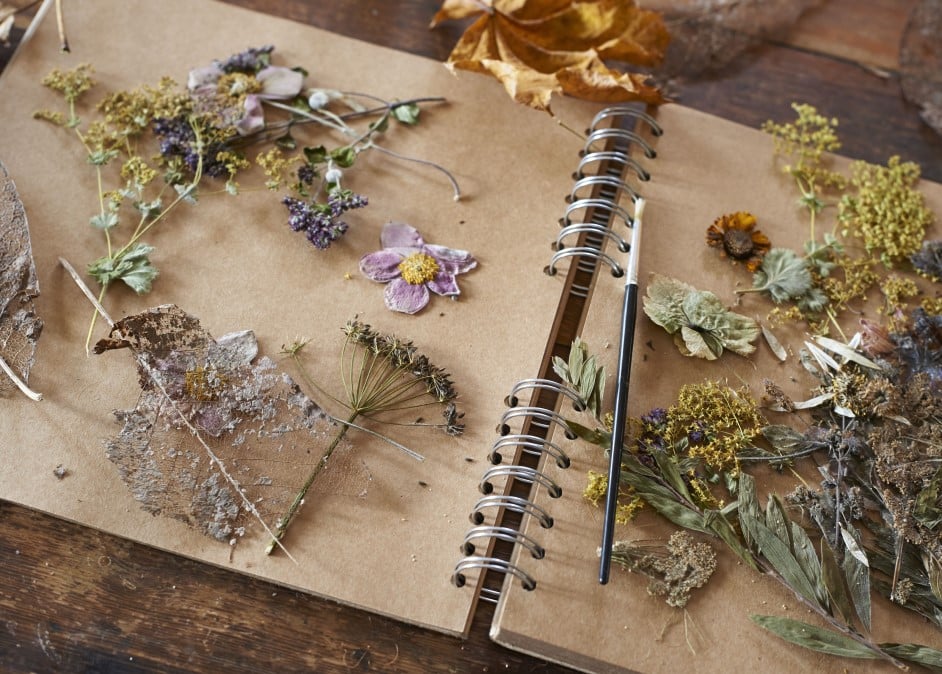 dried flowers 942 673