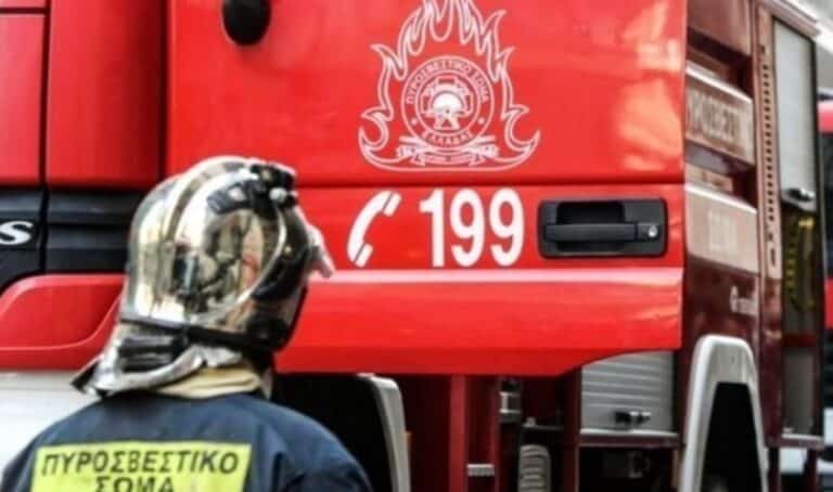 Πήγε να κάψει τα λιόκλαδα και έκαψε τις ελιές του