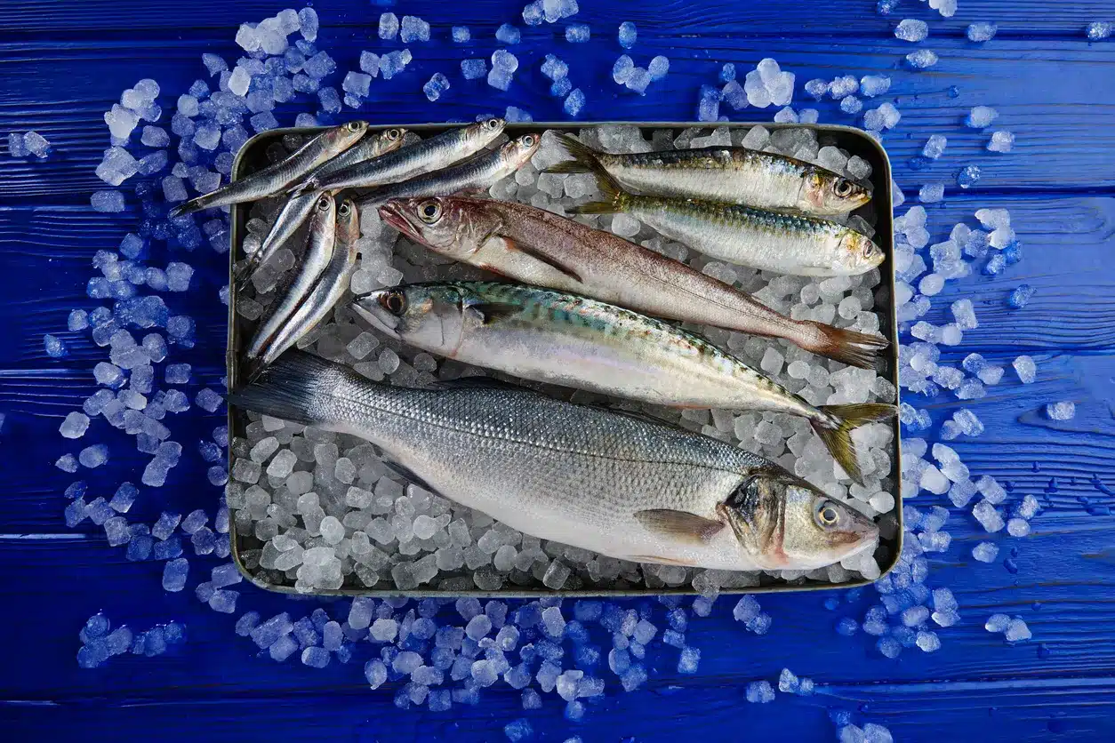 fish istock 915626582