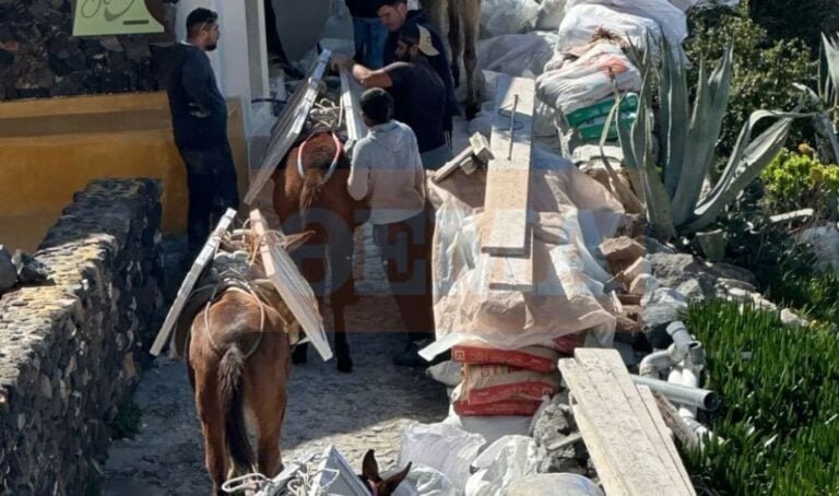 Εικόνες ΣΟΚ στη Σαντορίνη Φορτώνουν γαϊδούρια για να μεταφέρουν οικοδομικά υλικά
