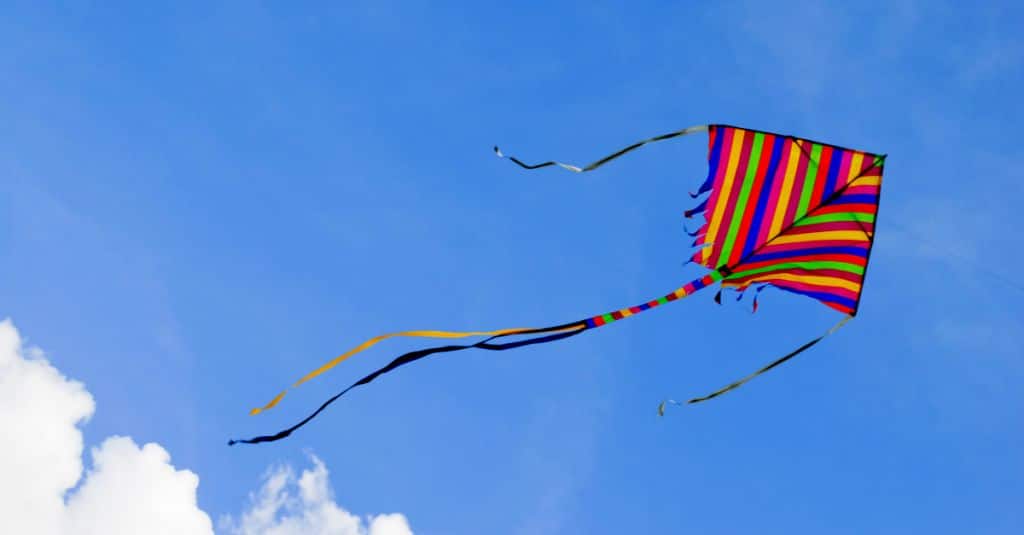 shutterstock 289408196 1 1024x535 1