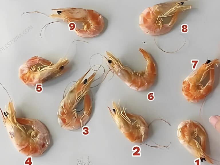 Μπορείτε να εντοπίσετε την 1 ψεύτικη γαρίδα στις 9 γαρίδες σε 10 δευτερόλεπτα;