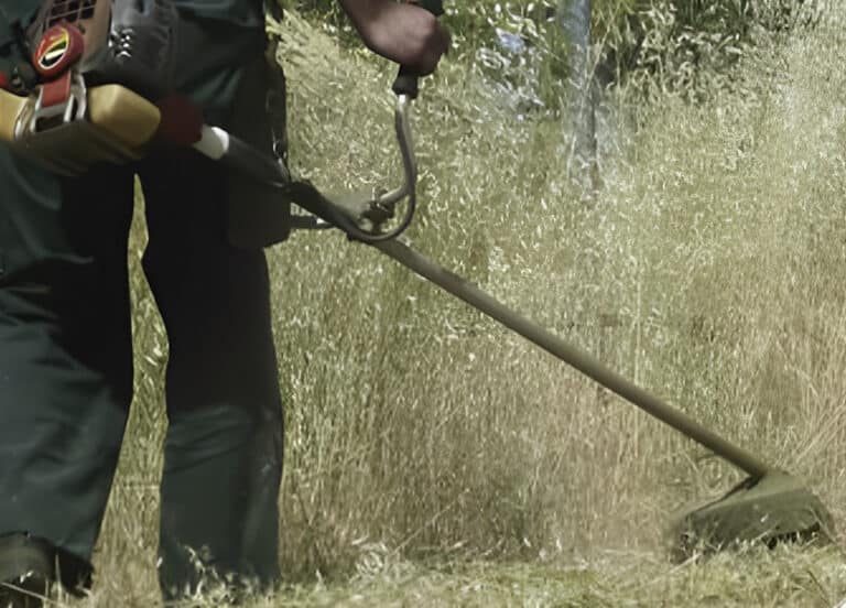 Καθαρισμός οικοπέδων: Υποχρεωτικός από ποτέ – Οι διαδικασίες και τα πρόστιμα