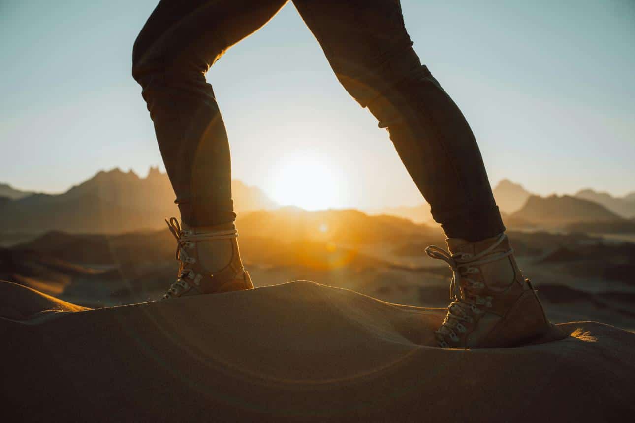 walking legs