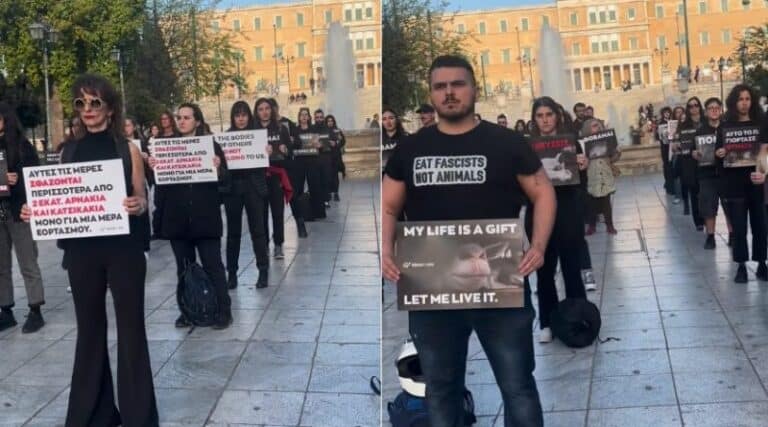 Διαμαρτυρία από vegans στο Σύνταγμα κατά της σφαγής αρνιών το Πάσχα