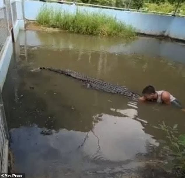 97812199 14658527 image m 12 1745910881649