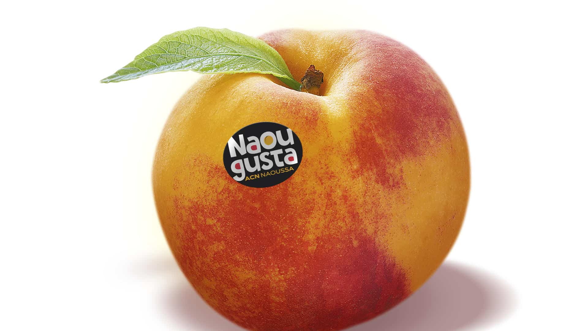 acn naoussas 19 rodakina naougusta