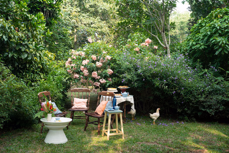 background afternoon tea set party beautiful garden 126740 2007