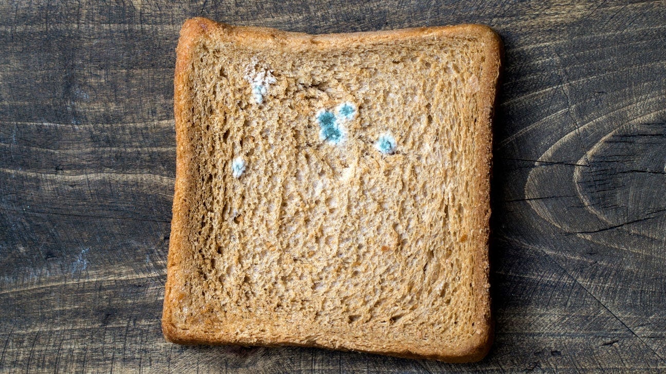 can you eat moldy bread 1296x728 feature