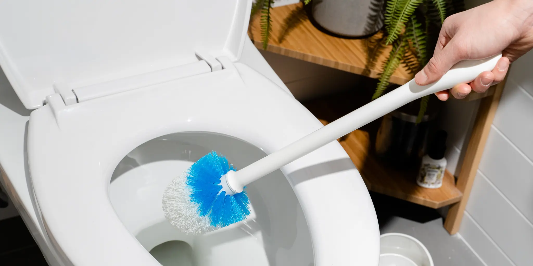 cleaneverything toiletbrushes 2048px 5681 2x1 1