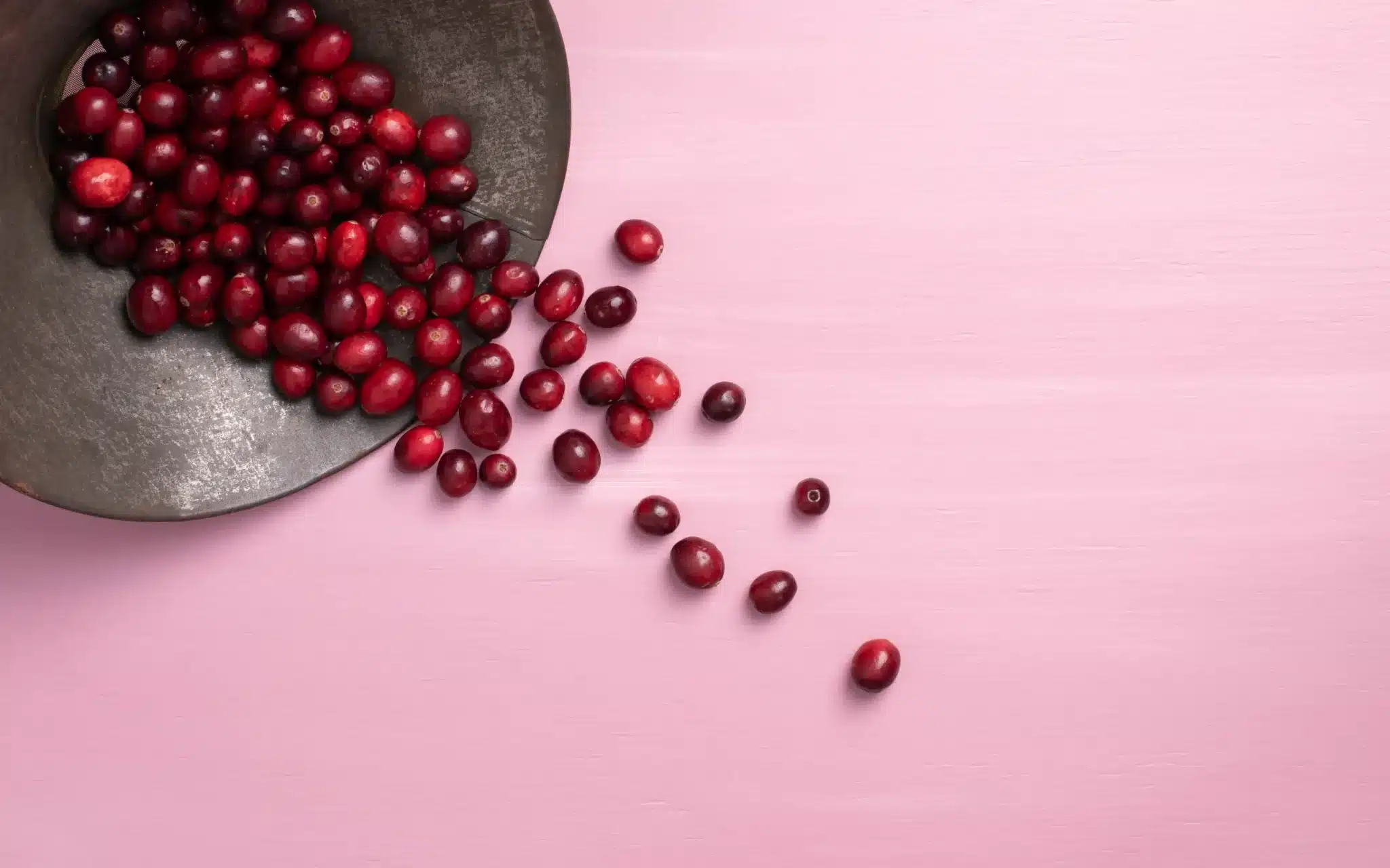 fresh ripe red cranberries 2048x1280 1