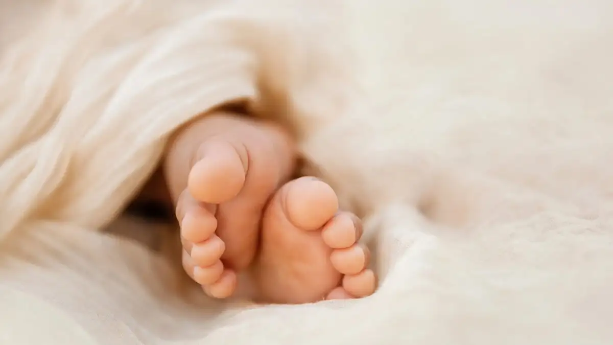 istock moro 1200x675 1