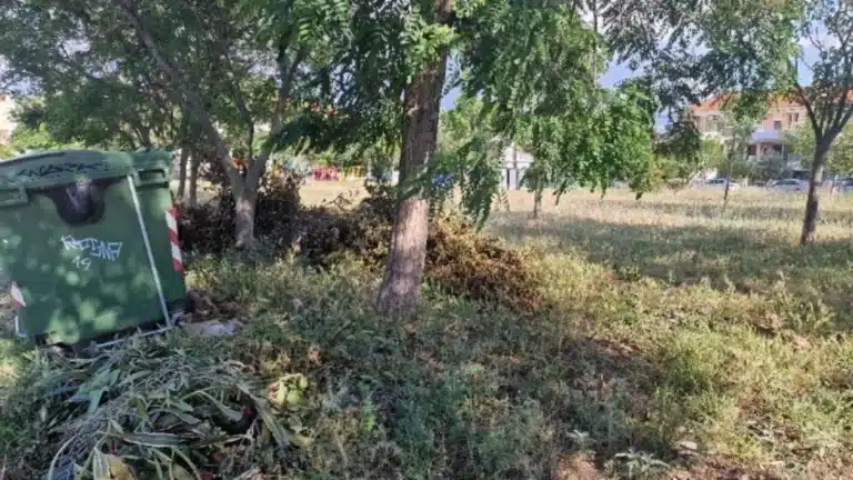 Καθαρισμός οικοπέδων: Ανατροπή με την προθεσμία – Τι εξετάζεται