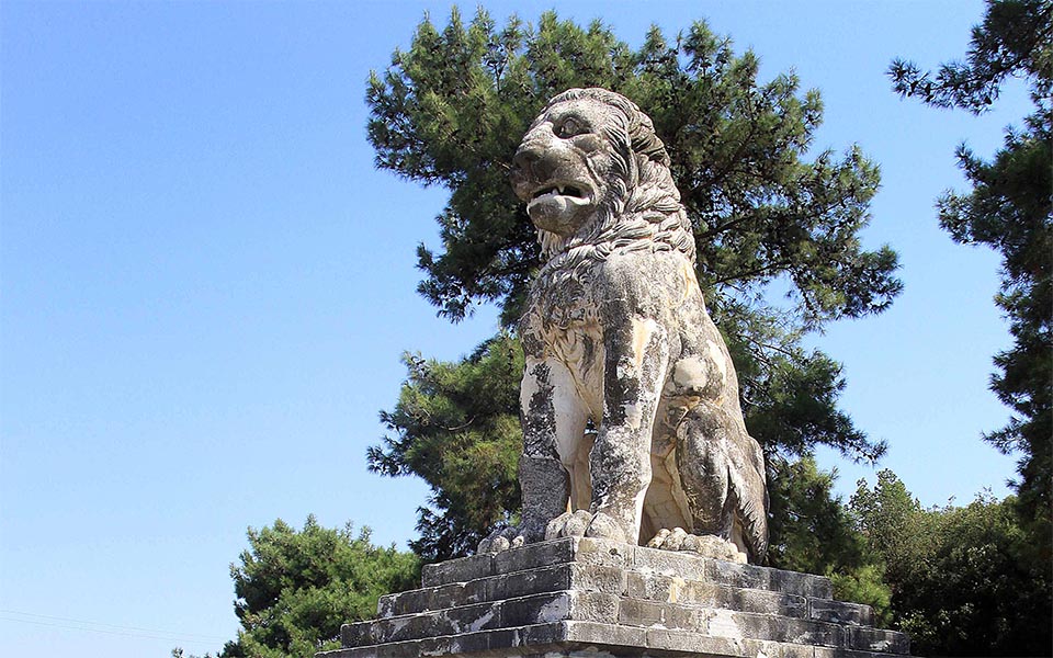 lion