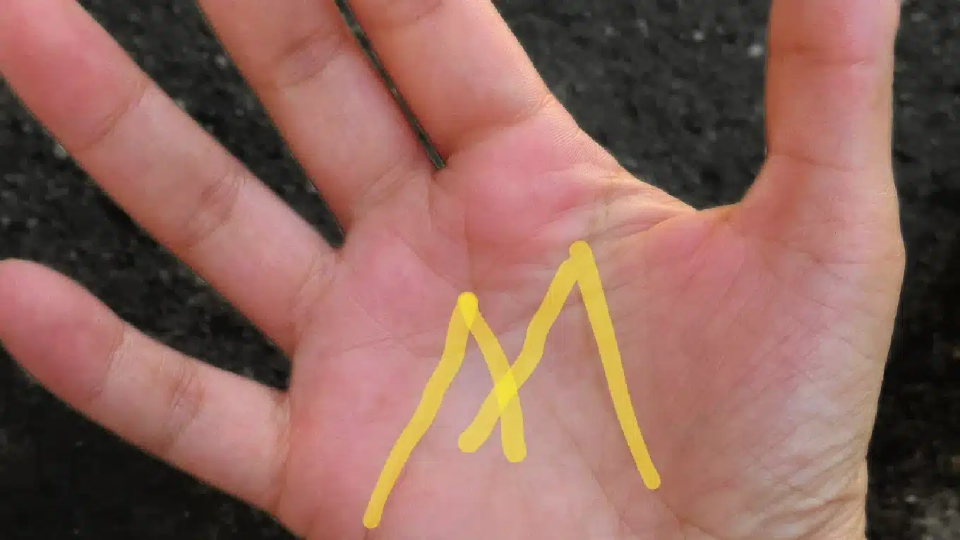 m on palm meaning