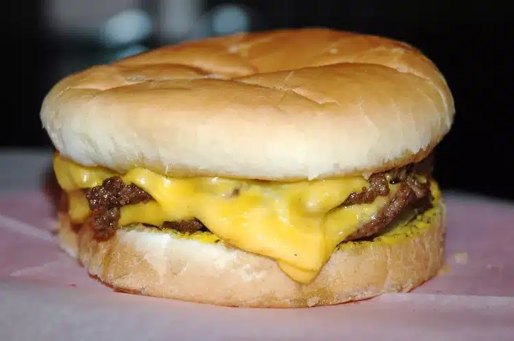 new dyers burger2 2000 1efcb15890f7496ba048c61843869684
