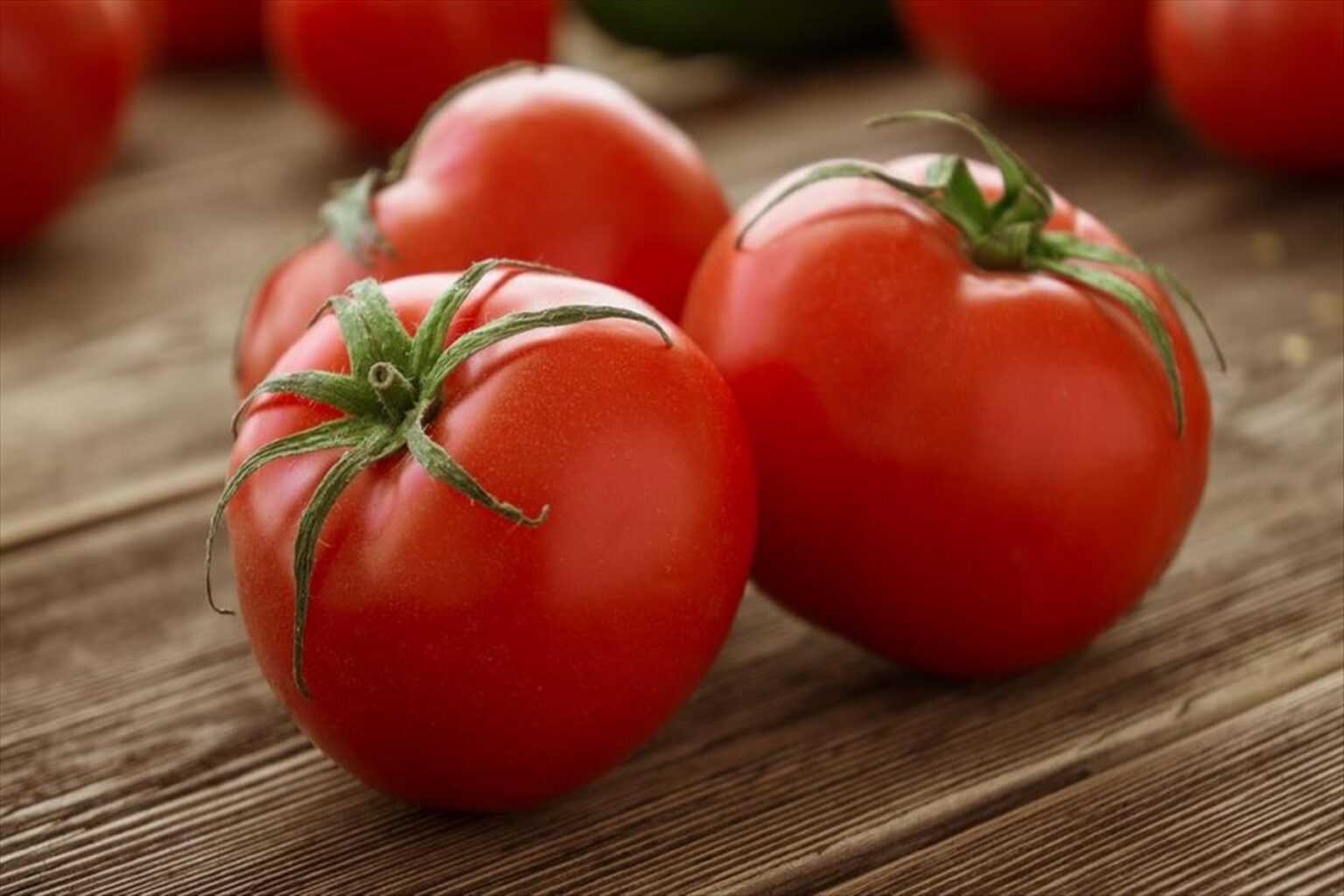 ntomates tromaktiko 180867 ntomates 1 1536x1024 1