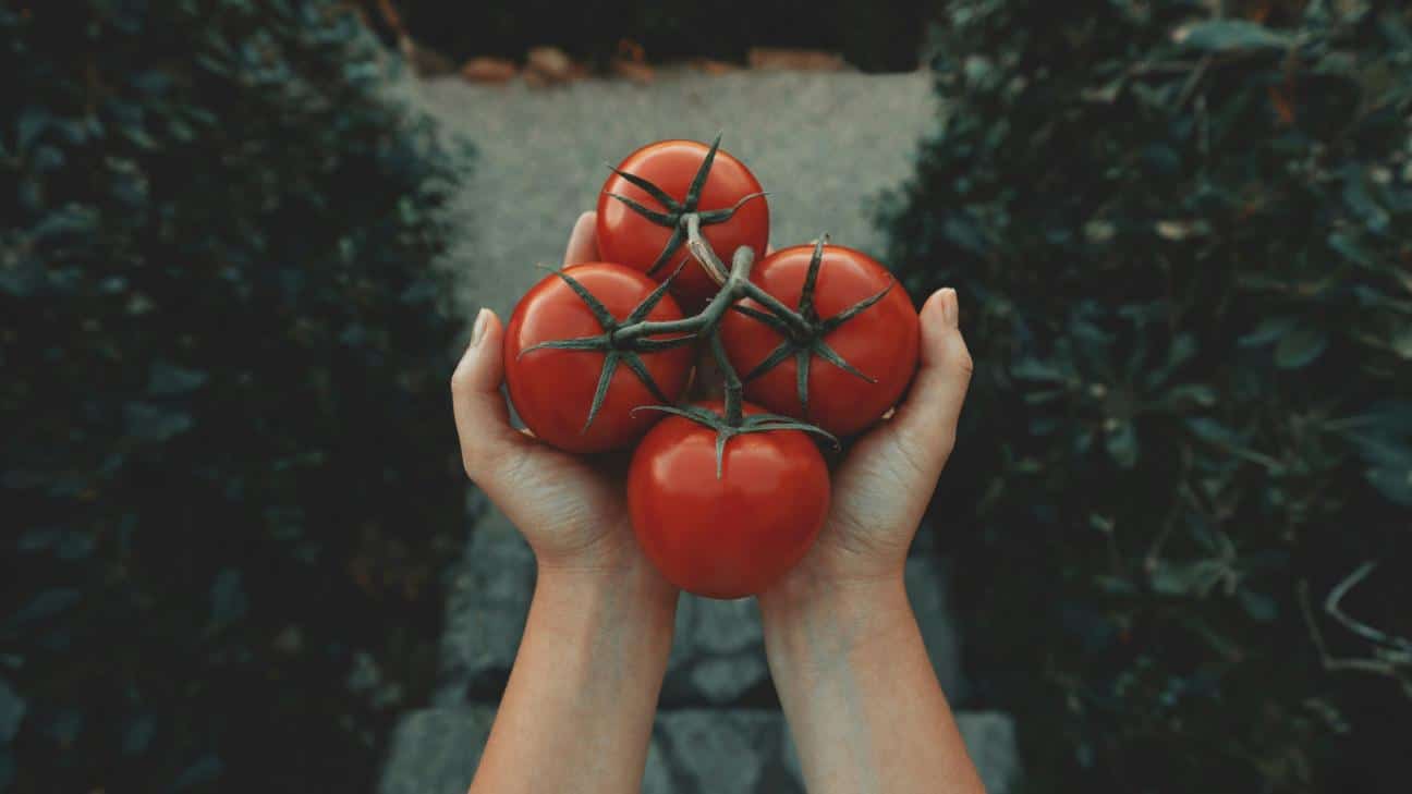 ntomates